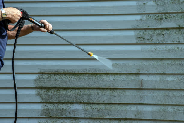 Best Roof Washing  in Darrington, WA